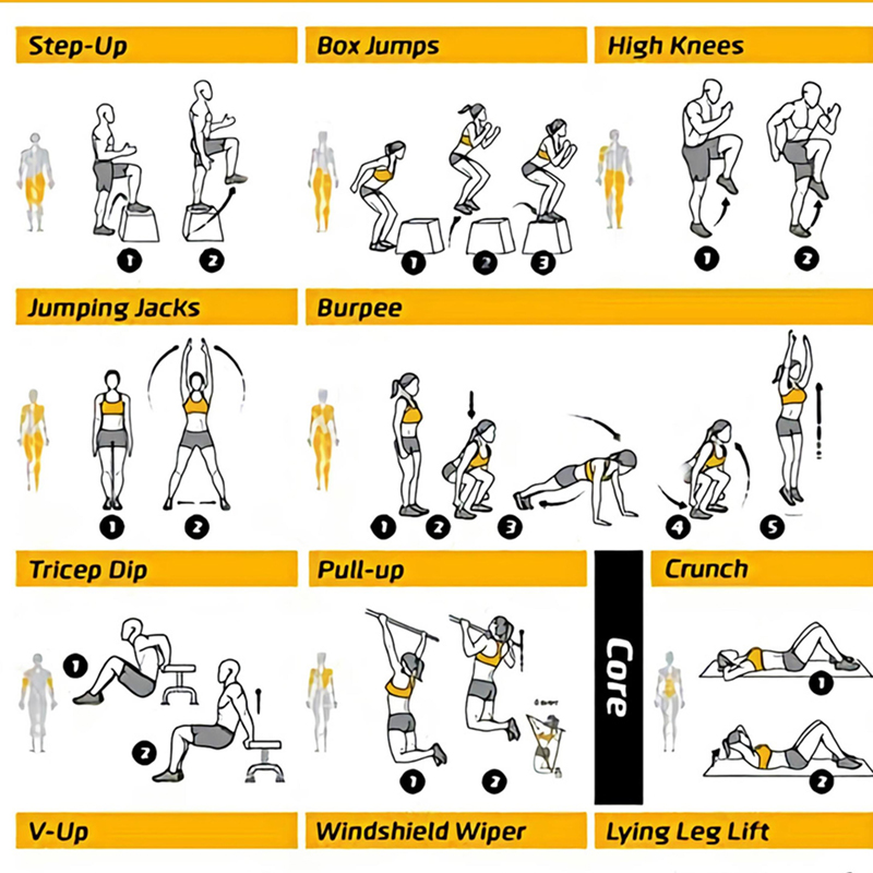 운동 운동 차트 포스터, 헬스장 벽 장식 프린트, 피트 - Sports Equipment Poster 리뷰 및 가격